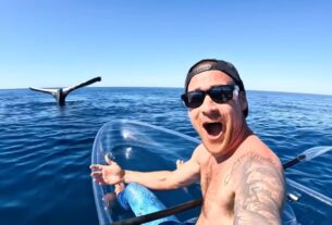 Австралийский блогер встретил кита, плавая на каяке. Смотрите видео