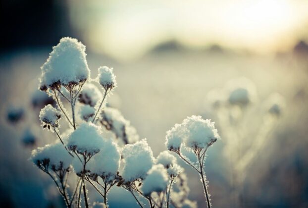 Федосеев день 24 января: что нельзя делать и какая погода будет весной